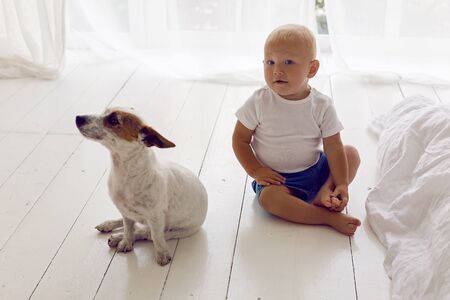child in a white t-shirt and shorts sit at home by the window with dogの写真素材