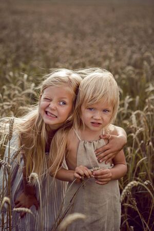 two sisters blonde girls in dresses stand in a field with wheat ears in the summerの写真素材