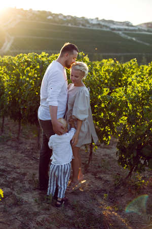 family of three in light clothes stand in a grape field during sunset in summerの写真素材