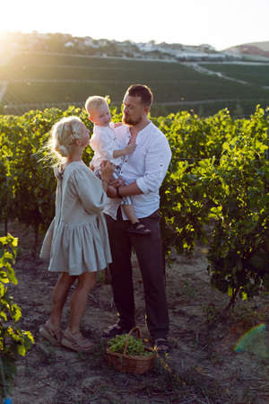 family of three in light clothes stand in a grape field during sunset in summerの写真素材