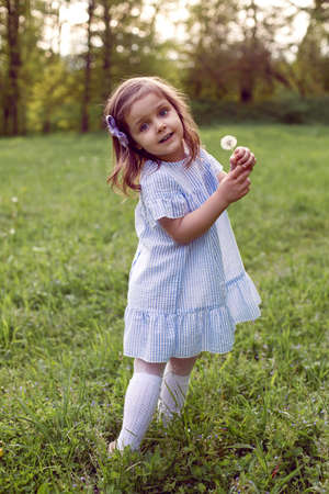 girl in a field with dandelions stands in a blue striped dress with a bowの写真素材