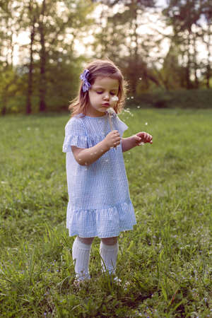 girl in a field with dandelions stands in a blue striped dress with a bowの写真素材