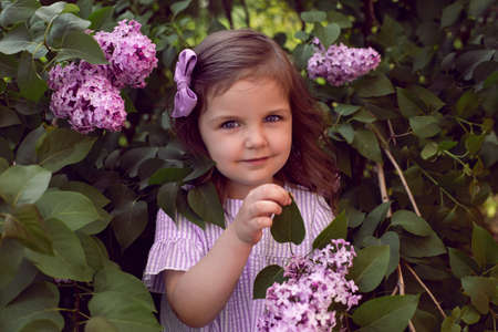 three-year-old girl stands in lilac bushes in a dress and a bow on her headの写真素材