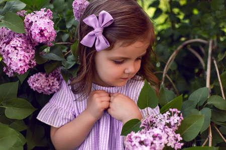 three-year-old girl stands in lilac bushes in a dress and a bow on her headの写真素材