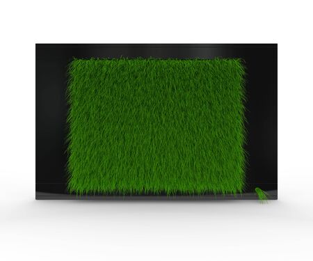 Black shiny TV with grassの写真素材
