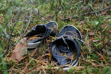 Wet shoes in the grassの写真素材