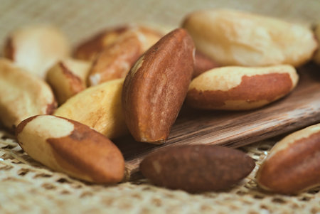 Brazil nuts, export product from the Amazon. Brazil nuts on a rustic surface with a wooden spoon. Brazilian foodの写真素材