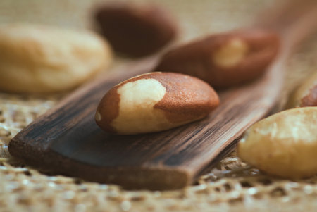 Brazil nuts, export product from the Amazon. Brazil nuts on a rustic surface with a wooden spoon. Brazilian foodの写真素材