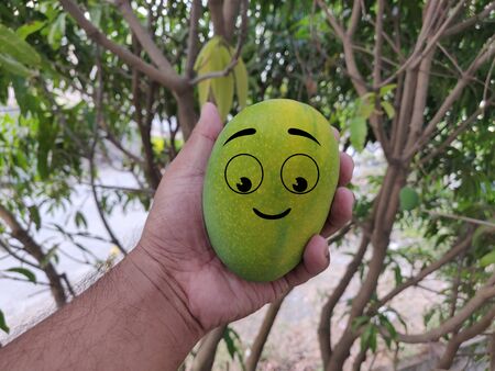 Mangoe with happy  face the king of fruits and this is Alphonso the king of all mangoesの写真素材
