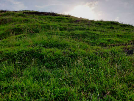 The top of a hill is covered in green grass.の写真素材