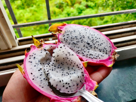 Eating White dragon fruit with a spoon, dragon fruit is a tropical fruit, skin is soft with scales and pink in colour, whereas the flesh is white with small, black edible seedsの写真素材