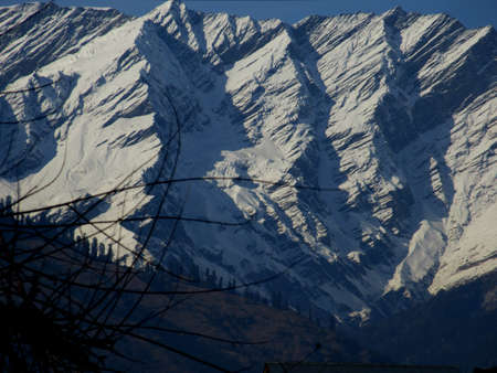 Early morning snow-covered mountains and tall trees in Himachal Pradesh Indiaの写真素材