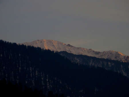 Early morning snow-covered mountains and tall trees in Himachal Pradesh Indiaの写真素材