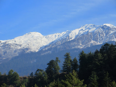 Dark blue Sky with snow-covered mountains and tall trees in Himachal Pradesh Indiaの写真素材