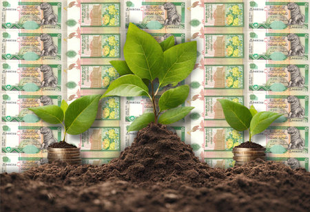 From Soil to Fortune: Money Tree Illustrations Money Growth concept, business success finance Sri Lanka 10 Rupees Sinhalese Chinthe Presidential Secretariat building in Colombo flowerの写真素材