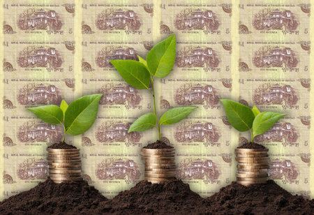 From Soil to Wealth: Illustrations of Money Growth Mythological birds; Dharma wheel, Portrait from Bhutan 5 Ngultrum 2011 Banknotesの写真素材