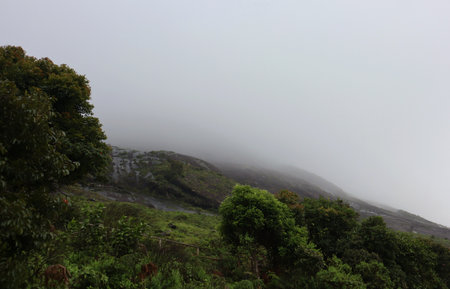 Anamudi Peak in Mist An atmospheric view of Anamudi Peak, the highest point in South India, located in the Western Ghats of Kerala. The summit is partly veiled in mist, surrounded by dense green forest and wet rocks.の写真素材