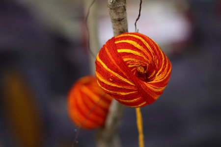 Sacred Thread Balls on Banyan Tree â Traditional red and yellow sacred thread balls tied to a Banyan tree branch during a Hindu ritual.の写真素材