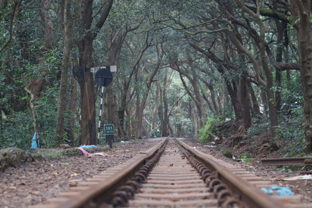Shows the untouched charm of the Matheran toy train route, often photographed for its natural beautyの写真素材