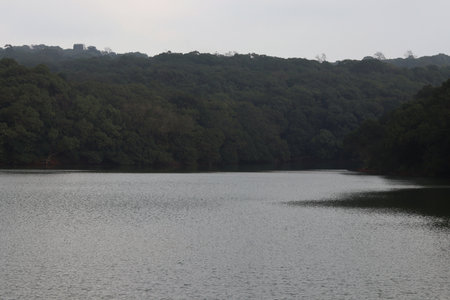 Lake View Charlotte Lake, Matheran A calm waterbody surrounded by dense green forest. Charlotte Lake, the main water source of Matheran, often visited for its serenity and birdwatching.の写真素材