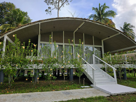 A raised eco-style house in the Andaman Islands surrounded by tropical plants and palm trees. Such stilt houses are built to adapt to the humid, coastal climate.の写真素材