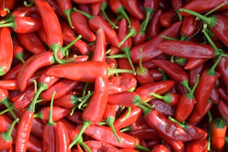 Red hot chillies or paper stacked randomly under dim sunlight ready for sale