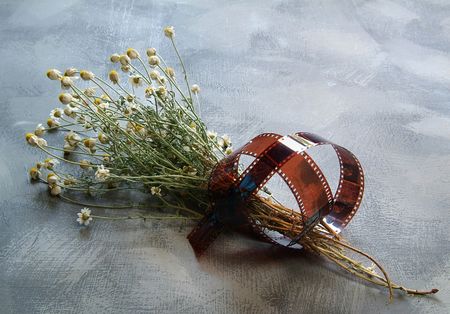 memoirsの写真素材