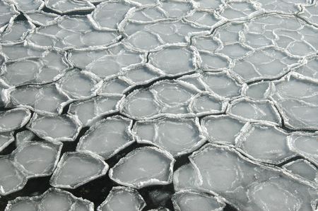 ice floesの写真素材