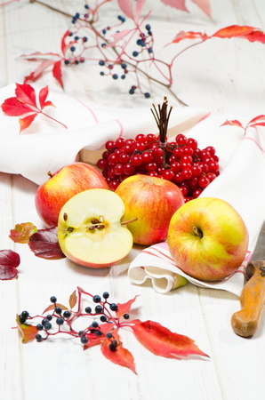 Red apples with cranberryの写真素材