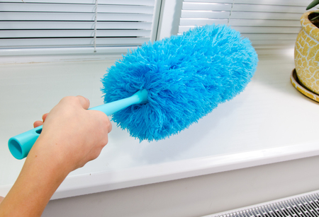 homework clean the dust