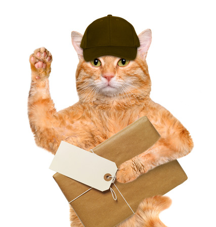 Cat with brown paper parcels delivery.の写真素材