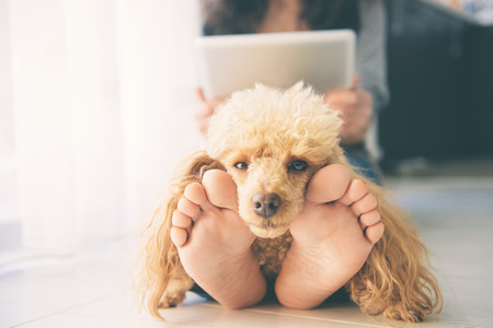 Young women is resting with a dog on the floor at home and using tablet.