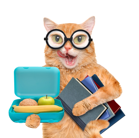 Cat with books and school lunch box. Isolated on white.の写真素材