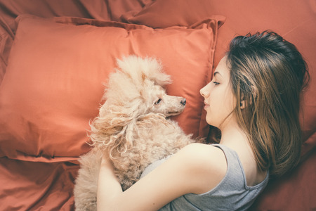 Young woman is lying and sleeping with poodle dog in bed.の写真素材