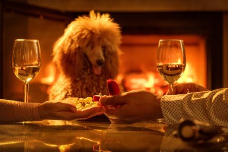 Man gives red box with engagement ring, making a marriage proposal to girlfriend, requesting a hand, indoors. Romantic concept, asking to marry, birthday gift, wedding planning.の写真素材