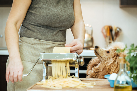 Woman's hands use a pasta cutting machine. The dog looks at the woman.の写真素材
