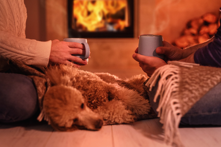 Young couple drinking cocoa on the fireplaceの写真素材