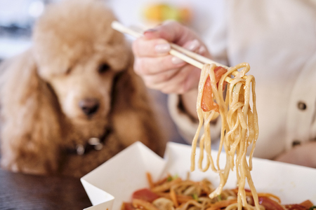 Woman enjoy japanese thai meal at home.の写真素材