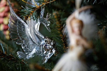 Christmas treeの写真素材