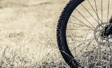 bicycle wheel in the field closeup