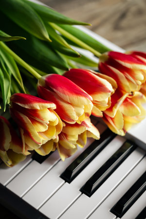A bouquet of flowers on piano keys, pink tulips close-up.の写真素材