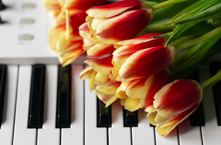 A bouquet of flowers on piano keys, pink tulips close-up.の写真素材