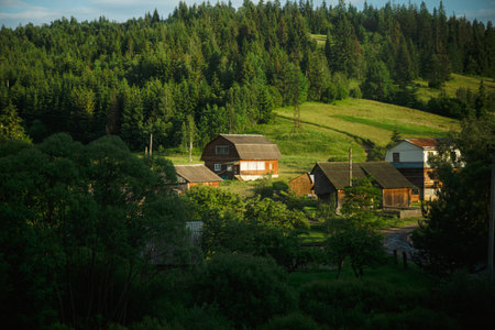 Wooden traditional houses against the backdrop of a mountain landscapeの写真素材