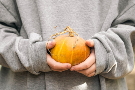 A small pumpkin in the hands of a child in the garden, close-up.の写真素材