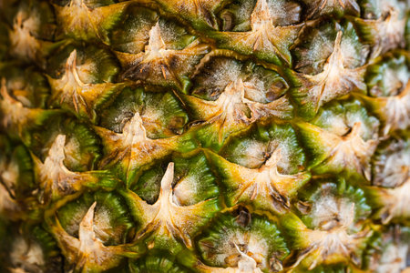 Close-up of pineapple peel background, macro shot.