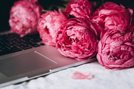 Laptop and pink flowers peonies in bed on a white blanket.
