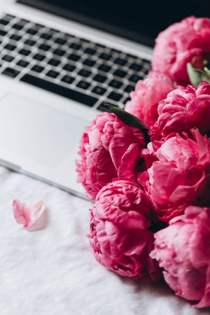 Close-up, bouquet of pink peonies flowers on a laptop keyboard in a white bed.の写真素材