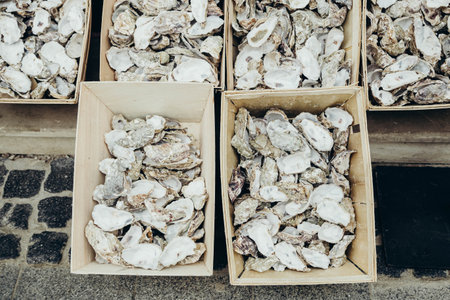 Cardboard boxes with oyster shells, oysters shells heap close up.の写真素材