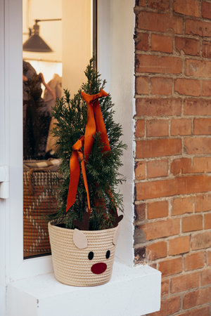 Christmas pot with a planted Christmas tree on the windowsill outside.の写真素材