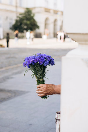 Elderly woman holding a bouquet of cornflowers, selling flowers.の写真素材